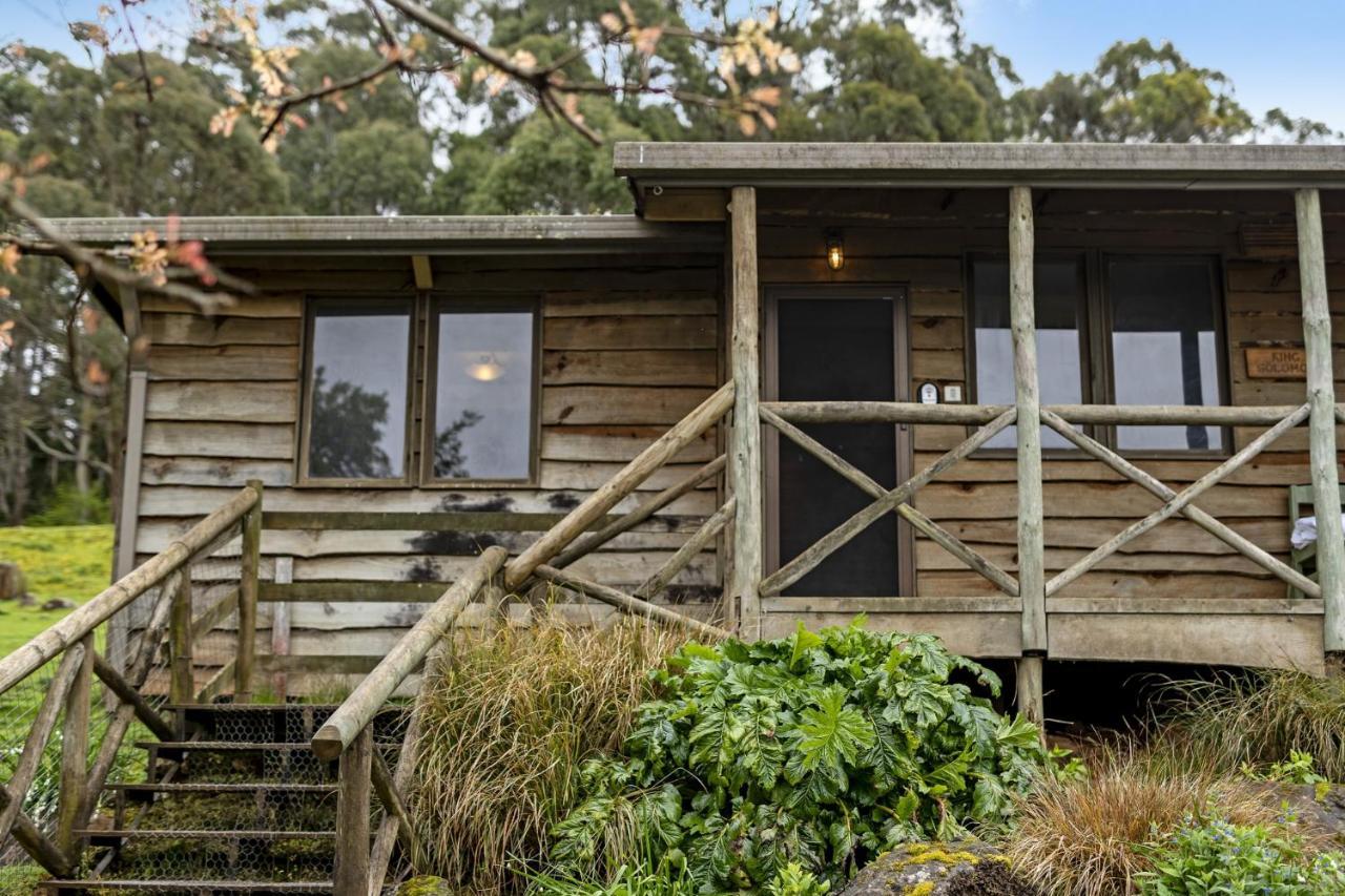 Mole Creek Cabins Extérieur photo