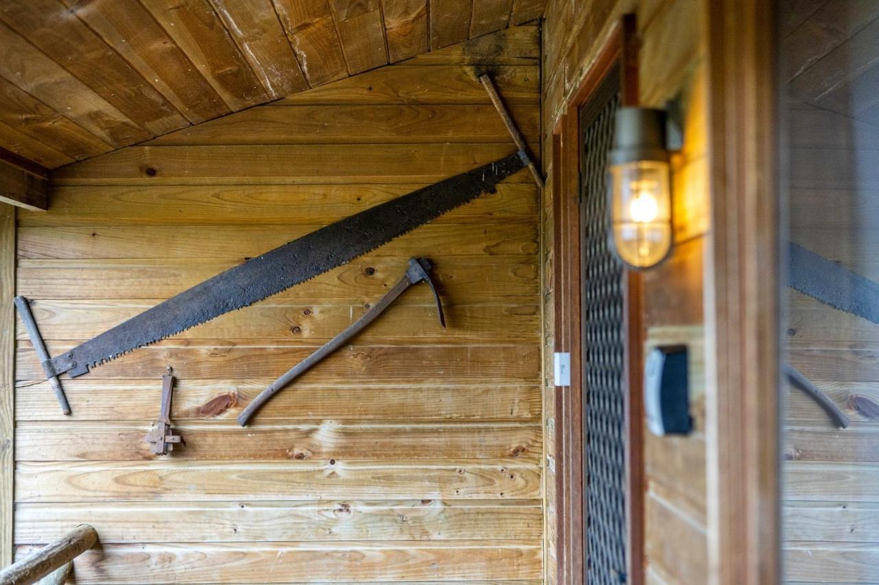 Mole Creek Cabins Extérieur photo